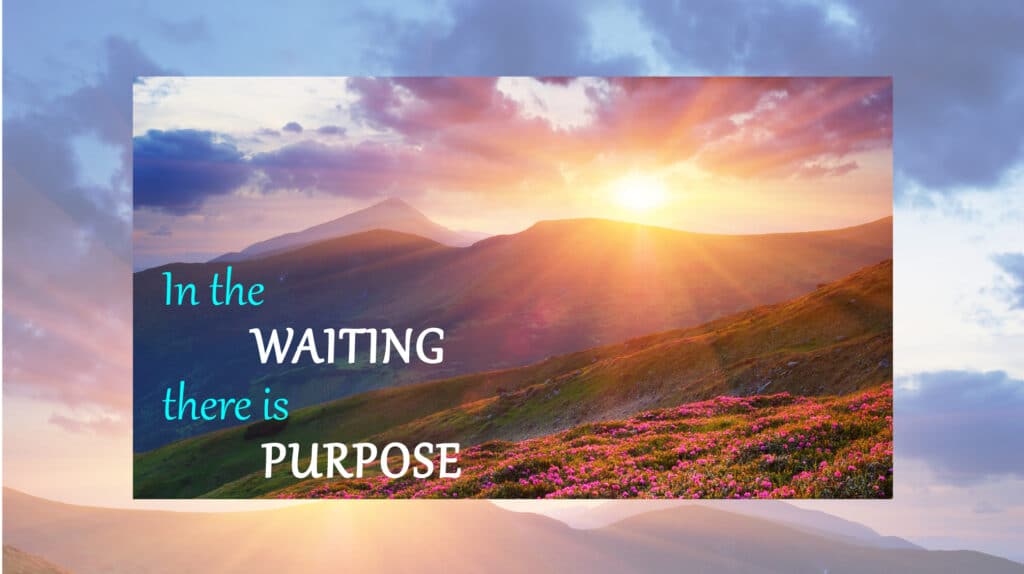 sunrises over a mountain scene with the words "in the waiting there is purpose" in a script text